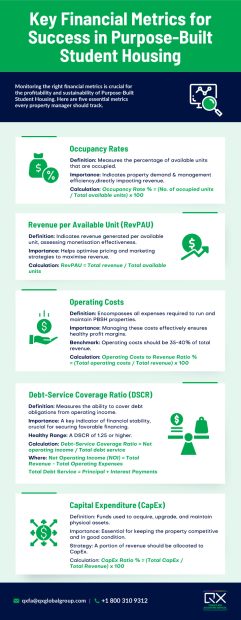 Strategies for Managing Debt and Efficient Budgeting