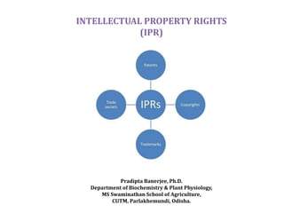 "Securing Your Concepts: An All-Inclusive Manual for Shielding Intellectual Property in Australia"