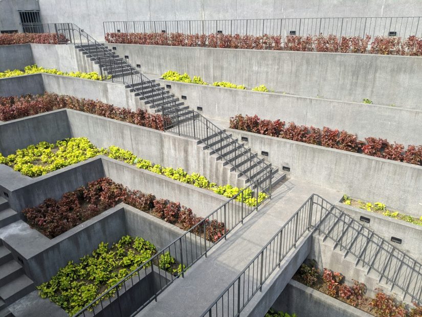 Benefits of Engaging Experts for Concrete Walkway Installation