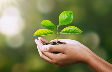 ETFs and Dividend Stocks: Building a More Intelligent Portfolio with Diverse Approaches