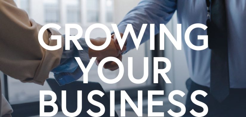 Guide to Initiating, Overseeing, and Growing Your Business