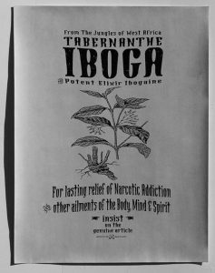 Investigating Ibogaine as a Groundbreaking Method in Addiction Therapy