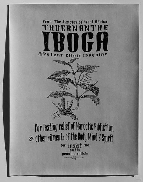 Investigating Ibogaine as a Groundbreaking Method in Addiction Therapy