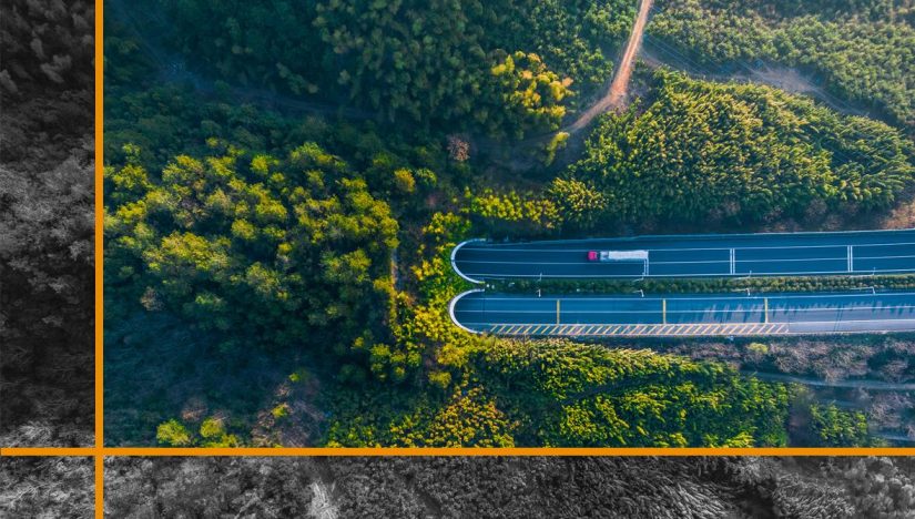 Strategies for Creating Sustainable Traffic Without Paid Advertising