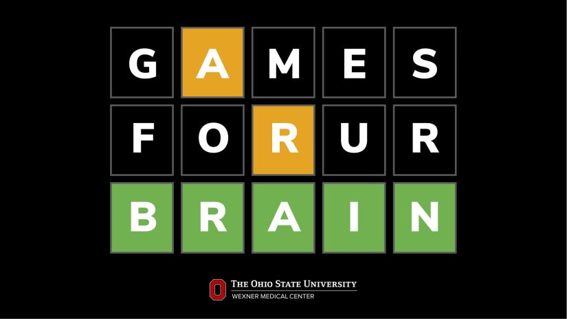 The Effect of Puzzle Games on Cognitive Function and Mental Well-being