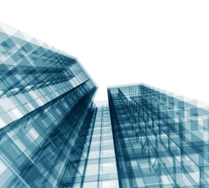 The Significance of Entrepreneurial Embracement of CTO Perspectives for Growth in 2025