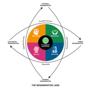 The Influence of the FIRE Movement on the Viability of Constructing Multi-Generational Wealth