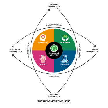The Influence of the FIRE Movement on the Viability of Constructing Multi-Generational Wealth