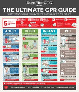 Successful Emergency Readiness Starts with CPR Instruction