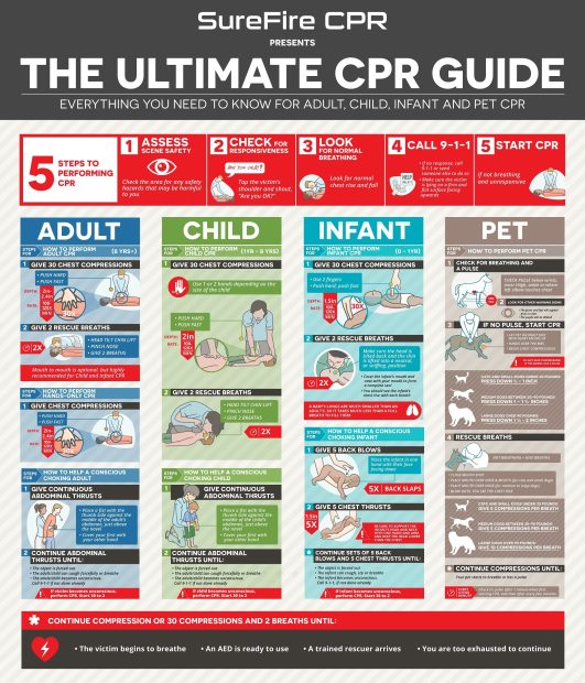 Successful Emergency Readiness Starts with CPR Instruction