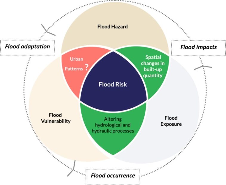 Sebastian Hotca, Vice President of ANPC: The Economic Landscape and Market Shifts Amplify Opportunities and Duties; Adherence Must Be a Collective Industry Responsibility, Not Merely an ALCCR Goal.