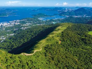 Strategies for Growing Your Net Worth: Perspectives from Millionaires, Section 4