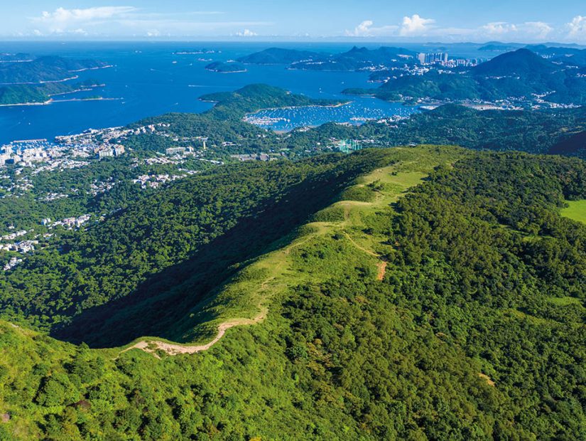 Strategies for Growing Your Net Worth: Perspectives from Millionaires, Section 4