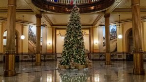 2025 Christmas Festivity Declaration