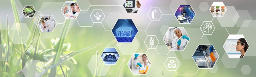 Investigating Innovative Approaches for Eco-Friendly Food Packaging