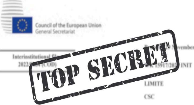 Q&A: Assessing the Choice to Sell Our Rental Property to Support Senior Dog Rescue Initiatives