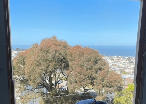 Improving Your Home’s Perspective via Thoughtful Preparation and Perseverance