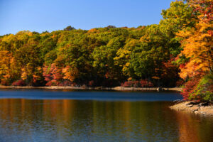 Interview with Millionaire #467