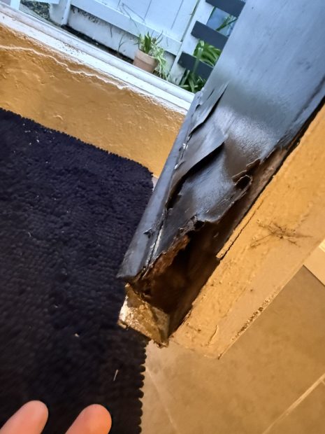 Uncovering Significant Pursuits Post-Retirement: An Informative Resource